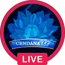 CENDANA777 - Game QiuQiu Terbaik untuk Penggemar Kartu